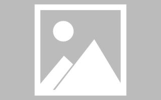 灵宝龙江乐从网站建设（乐从和龙江）